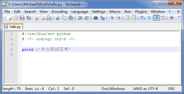 coding-in-notepad++